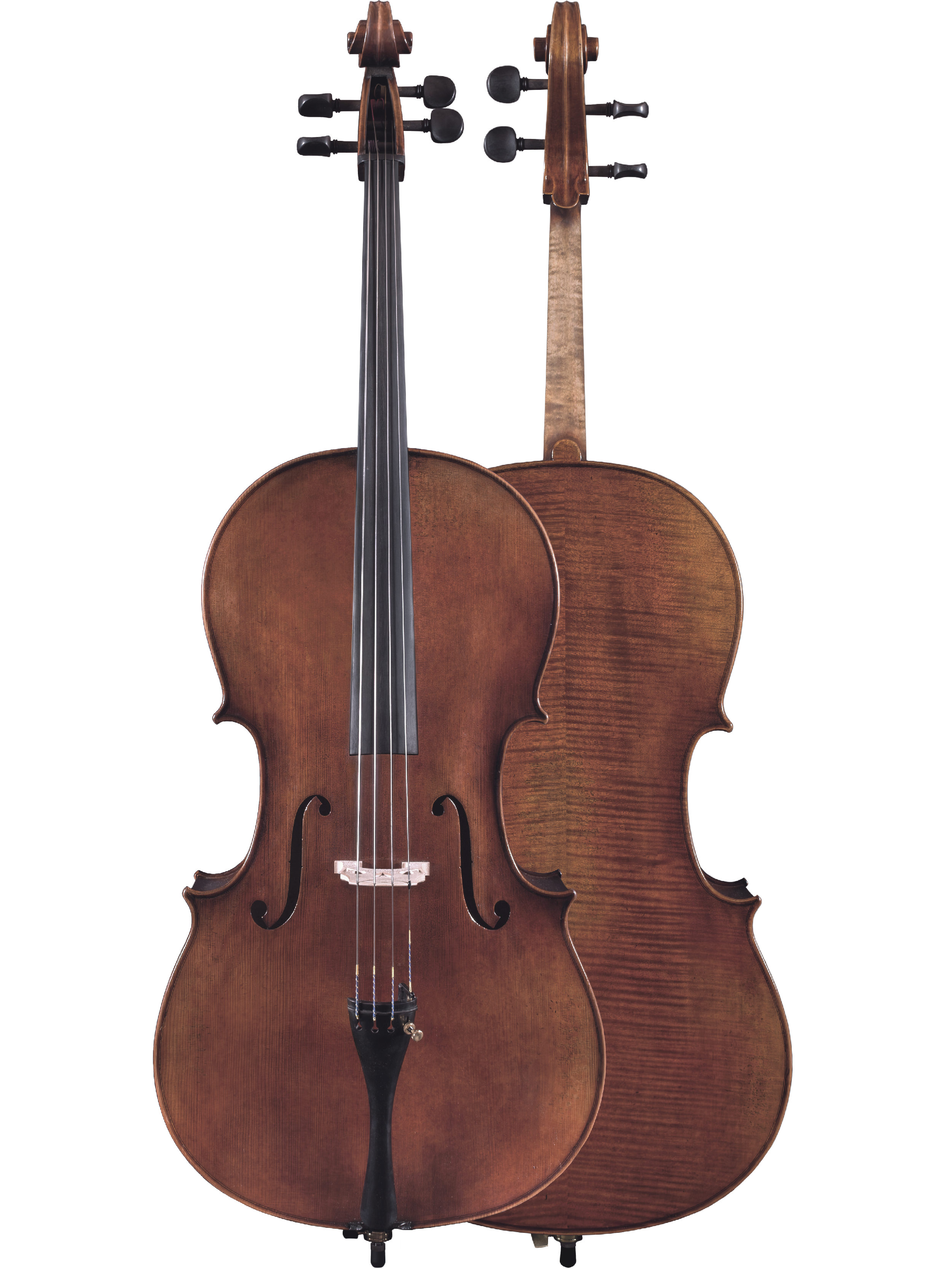 Chaconne Cello — Maple Leaf Strings